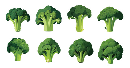 broccoli colloection veator isolated on white background.
