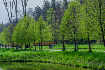 Żywo zielony park Zwierzyńczyk wczesną wiosną, płynąca woda,  zieleń, alejki i pomosty