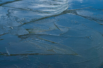 凍りつく池の表面