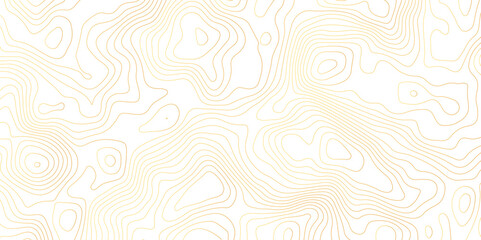 Golden stroke white background topography and topology vector - obrazy, fototapety, plakaty