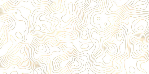 Golden stroke white background topography and topology vector - obrazy, fototapety, plakaty
