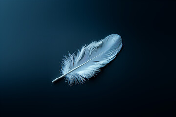 Ultra-minimalist image of a white feather on a dark black background