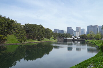Fototapeta na wymiar 日本、東京の皇居のお堀の桜の花