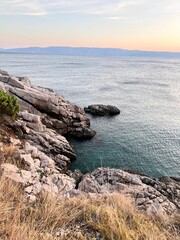 Rocky cliff coast with wild plants by the sea under sunset sky, vertical shot