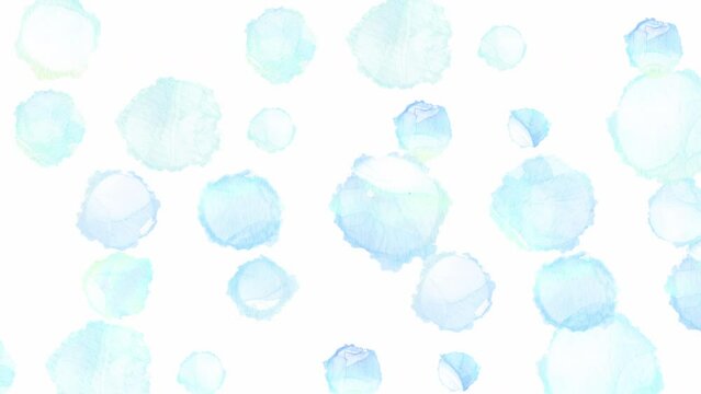画面いっぱいに広がる美しい水滴が現れたり消えたりを繰り返すループアニメーション。白背景の幻想的な映像。