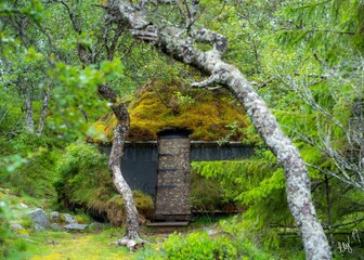 Old abandone structure covered with moss in a forest