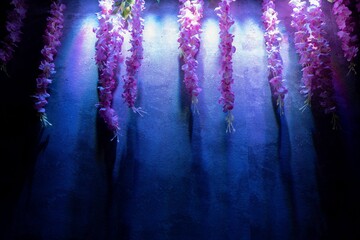 Background of purple hanging decoration of flowers on a blue wall