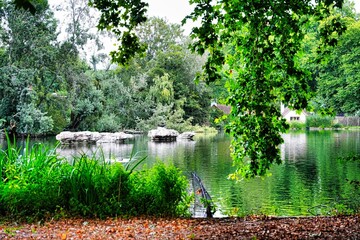 Scenic view of a tranquil lake surrounded by green trees in a park