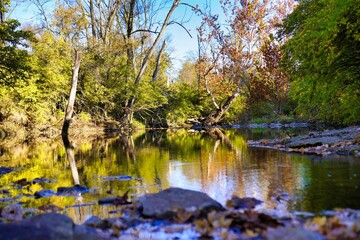 Beautiful view of the trees by the river in autumn.