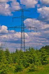Obraz premium Vertical shot of a high-voltage direct current in the trees