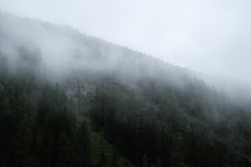 Amazing view of trees on the hill covered in fog in Davos, Switzerland