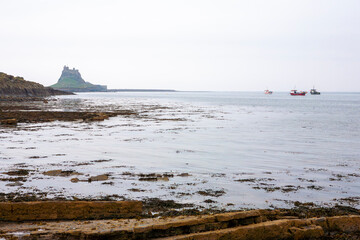 The castle and harbour from the Common, Lindisfarne, Holy Island, Northumberland, England, UK