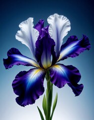 AI-generated illustration of a vibrant iris flower against a blue background