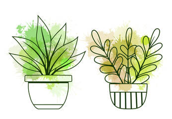 Vector set of contour various plants in pots clip arts with green watercolor splashes. Collection of outline flowers in vases for home decoration. Natural design elements for stickers, icons, articles