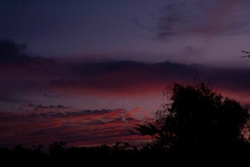 Sunset view with a tree silhouette and purple clouds background