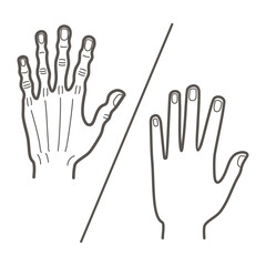 Hand skin rejuvenation, illustration isolated on the white background.  Skin care concept.  line draw design  graphic illustration. Woman hands. Delicate rejuvenating. Care hands. 