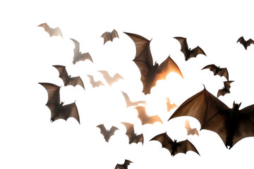 Naklejka premium Bats are flying. Isolated on transparent background.