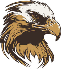 Eagle head on a white background