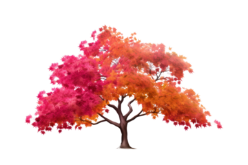 Anime style tree with colorful leaves Slender stem. Isolated on transparent background.