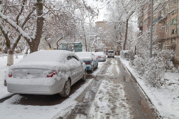 The last spring snow in the city. Cars are standing under the snow in the spring