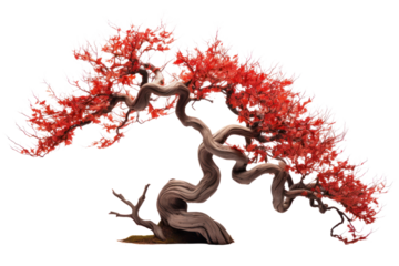 Angry tree, red leaves, twisted trunk. Isolated on transparent background. Isolated on transparent background.