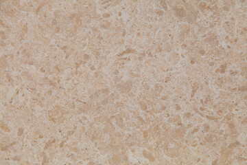 Texture of natural shell rock as a background. - 784358113
