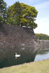 日本、東京の皇居のお堀の風景