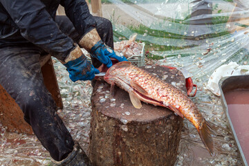 Cutting and cleaning fish at the market in unsanitary conditions - 784358530
