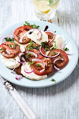 Summer Salad with Mozzarella Cheese, Tomatoes and red Onion. Wooden background. Close up. Copy space. 
