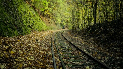 View of old railroad tracks in the forest in autumn