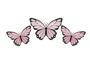 pink watercolor butterfly tawny monarch decortive  