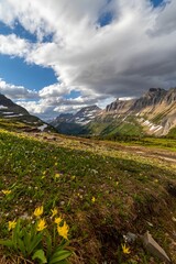 Fototapeta premium Low-angle shot of beautiful mountains in Glacier National Park, USA