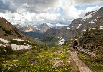 Hiker standing on the trekking trail with yellow lilies,in Glacier National Park in northern Montana