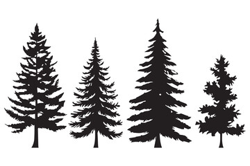 Fototapeta premium silhouettes of trees