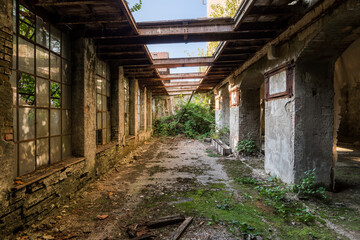 Nature is getting back these old factory ruins | Symmetric corridor with view to the sky