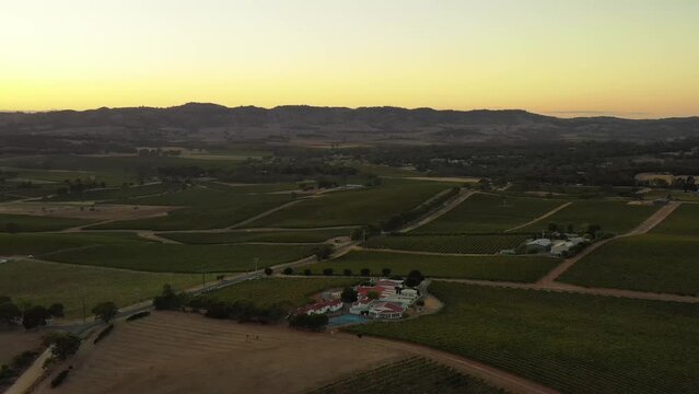 Long aerial flying down to estate in vineyards of farm in Barossa Valley of SA 4k.
