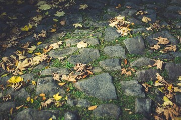A stone path among the falling leaves.