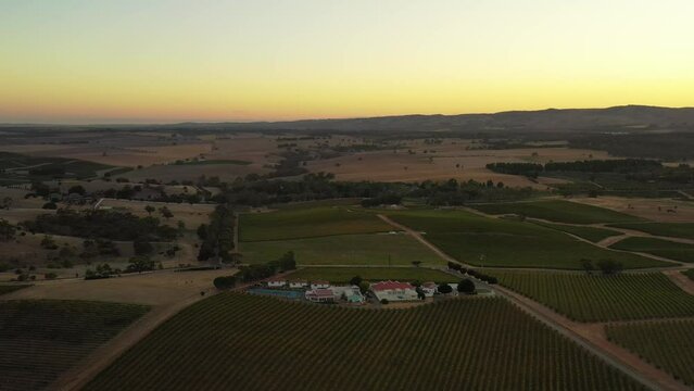 Aerial flying around vineyards in Barossa valley of South Australia as 4k. Sunrise.
