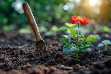 Zelfklevend Fotobehang A red gerbera flower blooms with a garden fork stuck in the earth, depicting growth and gardening care © Larisa AI