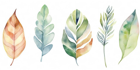 Collection Of Tropical Leaves Illustrations, Created Using Watercolor And Presented Isolated On White Background
