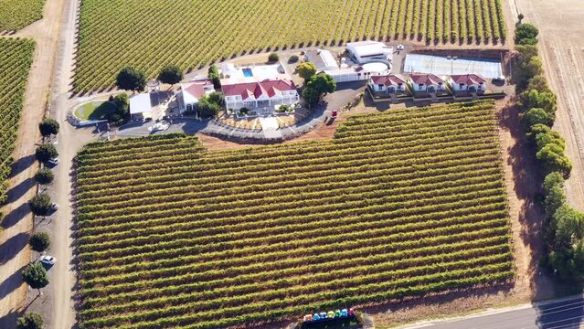 Wine making vineyards estate in Barossa valley of South Australia – aerial 4k.
