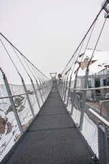 Obraz premium The Suspension bridge Cliff Walk at Titlis, Switzerland