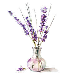 watercolor illustration with lavender flowers, composition of lavender flowers