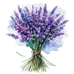 watercolor illustration with lavender flowers,  composition of lavender flowers	