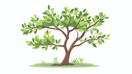 Tree with branches flat style vector illustration design
