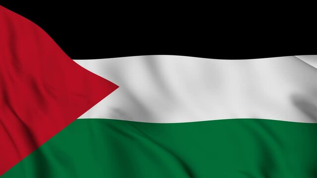 Palestine Flag waving animation seamless loop. 4K