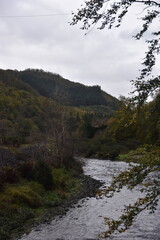Fototapeta na wymiar a walk along the ystwyth valley near Pont-rhyd-y-groes during autumn