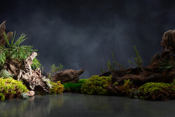 Northern natural composition with lichen, moss, pine branches and driftwood. - 784392307