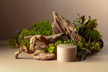 Abstract north nature composition and  podium for your product.