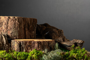 Composition with natural wood, moss and lichen for advertising eco products.